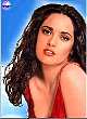 fakehs_salma_hayek_07.jpg